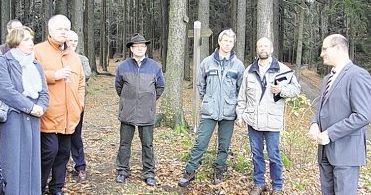 Politik im Wald